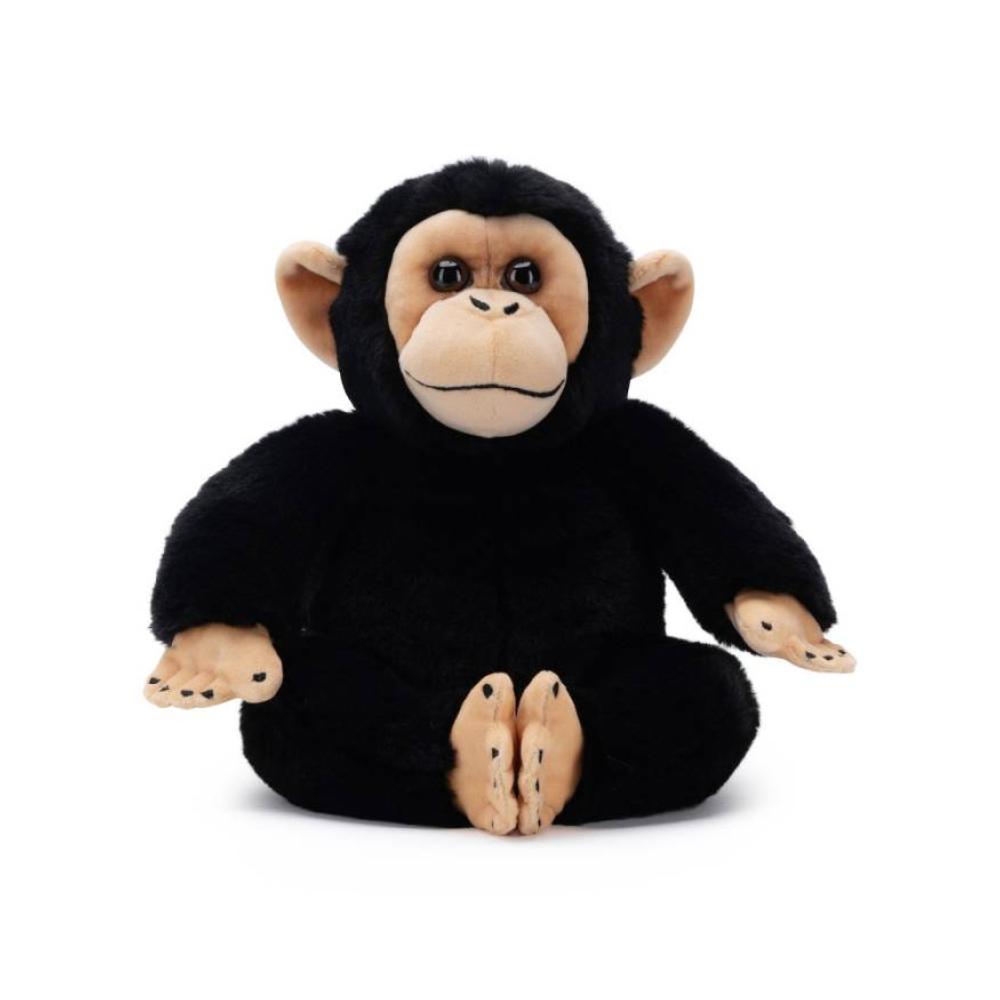 Disney chimpancé